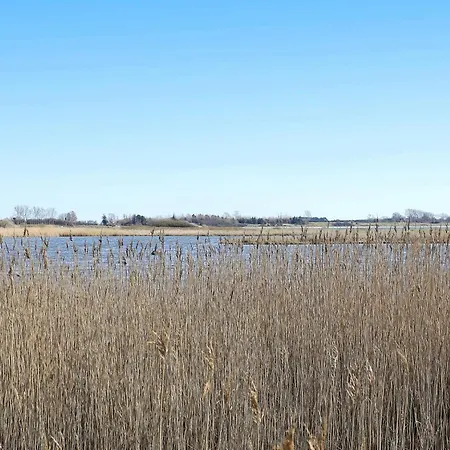 Prázdninový dům 4 Star In Martofte