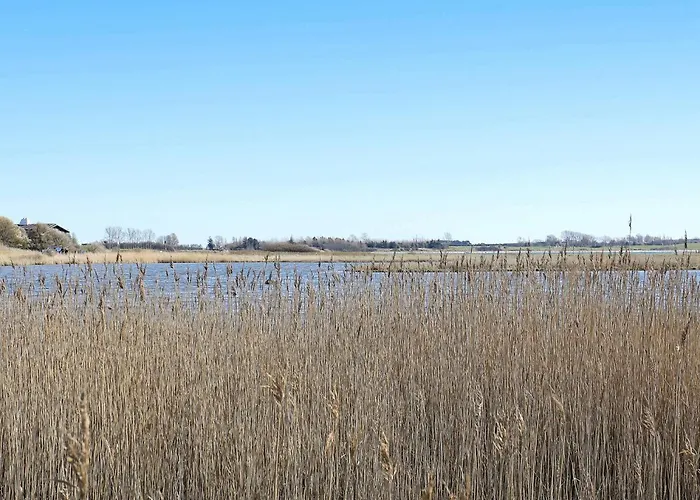 Дом отдыха 4 Person In Martofte-by Traum Martofte